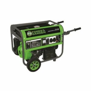 FOREST & GARDEN GENERADOR A GASOLINA 4 TIEMPOS GG66500/50